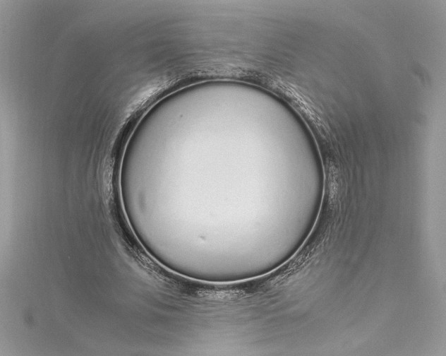 X0000115020679200911161446