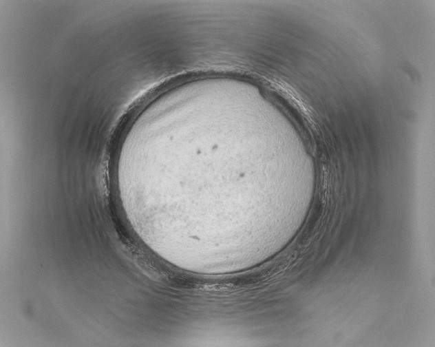 X0000115020680200911161446