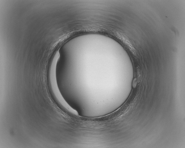 X0000115020681200911161446