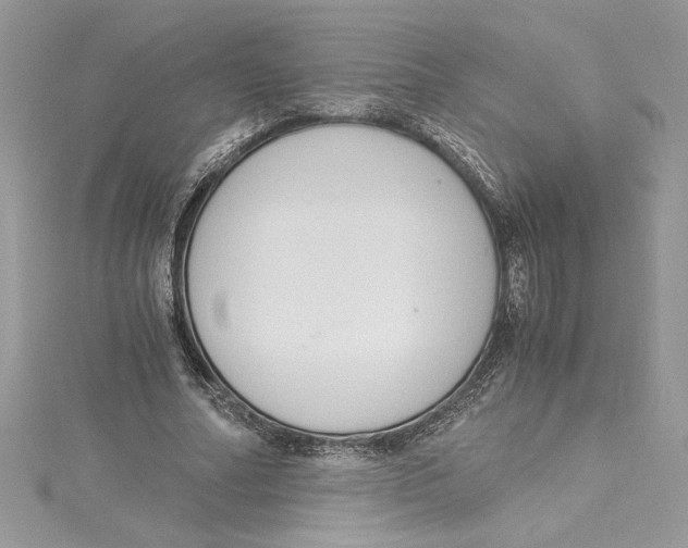 X0000115020682200911161446