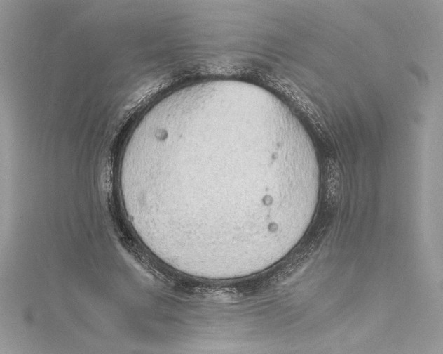 X0000115020683200911161446