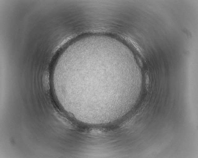 X0000115020684200911161446