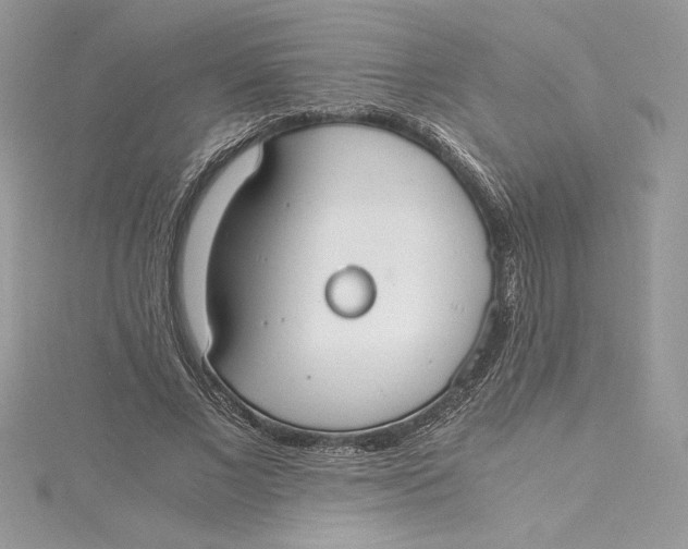 X0000115020685200911161446