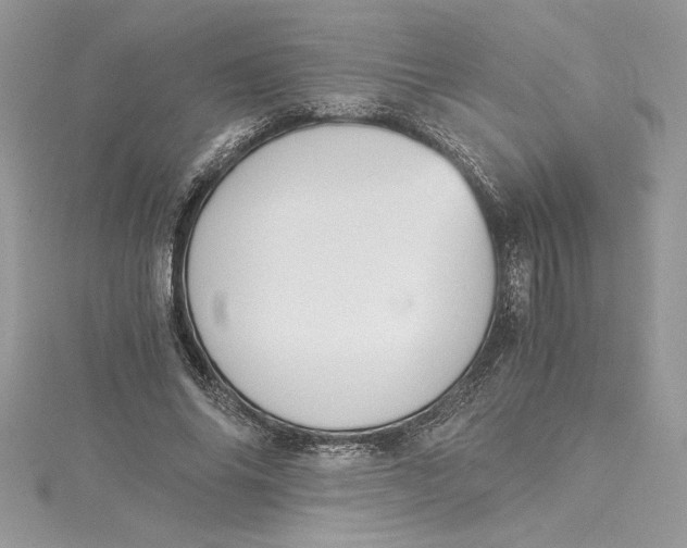 X0000115020686200911161446