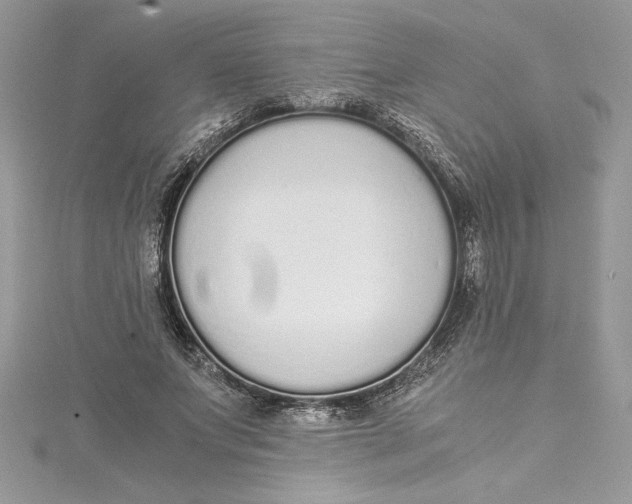 X0000115020687200911161446