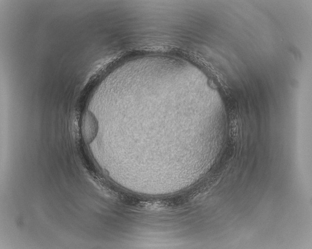 X0000115020688200911161446