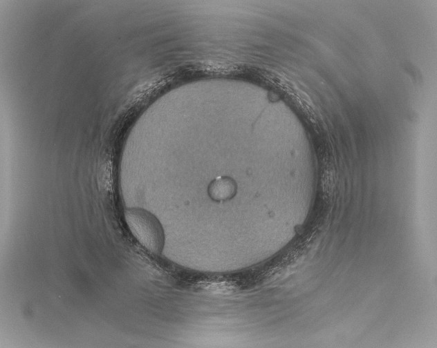 X0000115020689200911161446