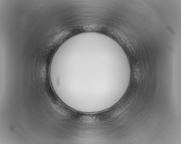 X0000115020690200911161446