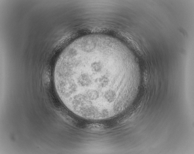 X0000115020691200911161446