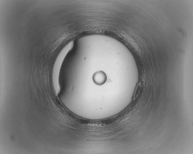 X0000115020693200911161446