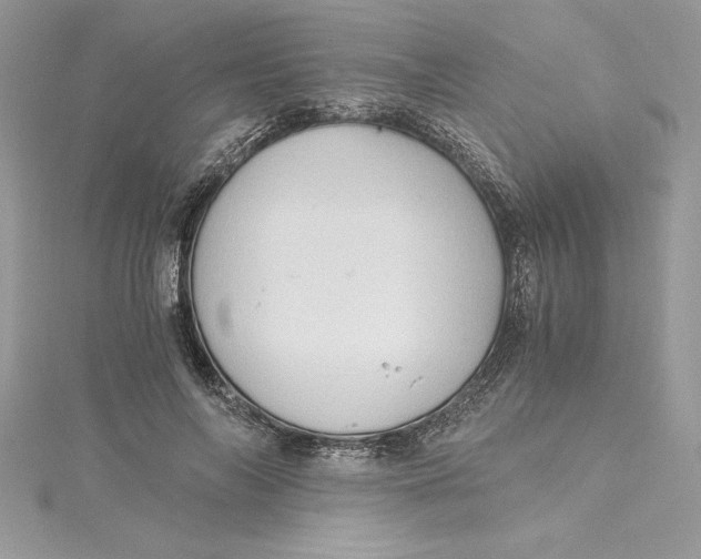 X0000115020694200911161446