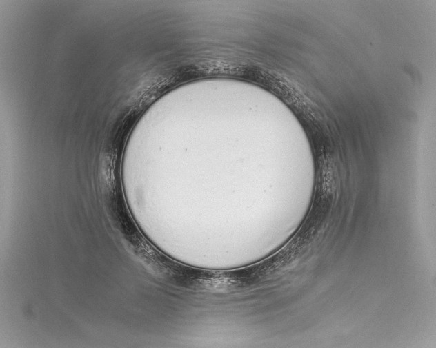 X0000115020695200911161446