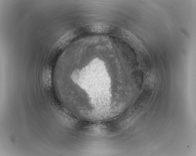 X0000115020696200911161446