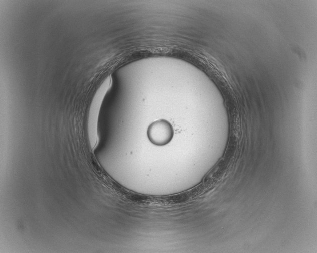 X0000115020697200911161446