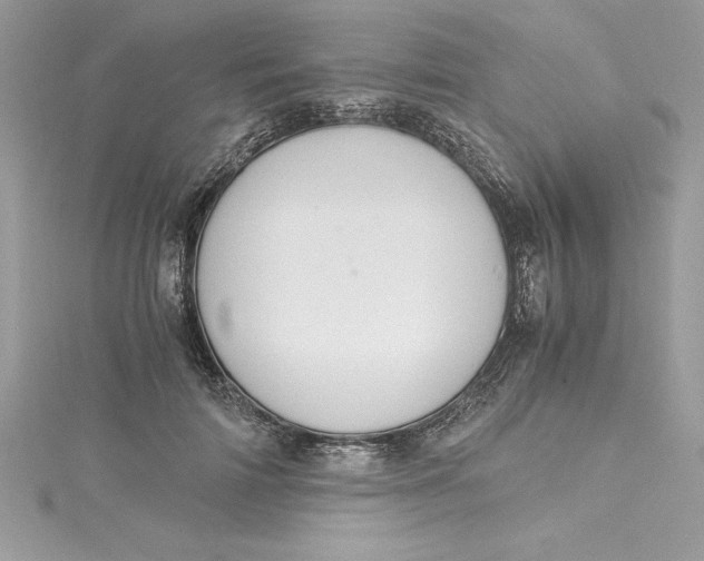 X0000115020698200911161446