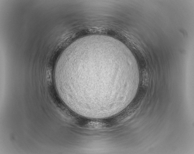 X0000115020699200911161446