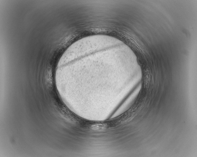 X0000115020700200911161446