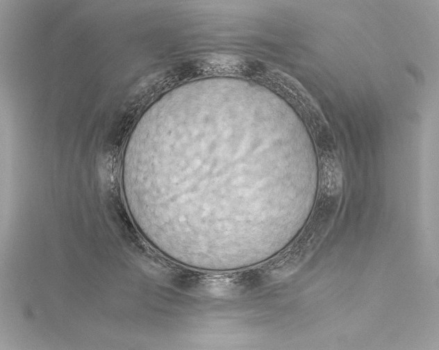 X0000115020701200911161446