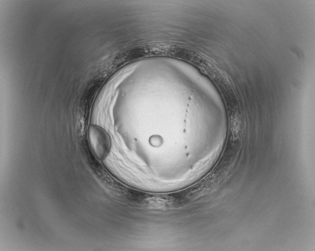 X0000115020703200911161446