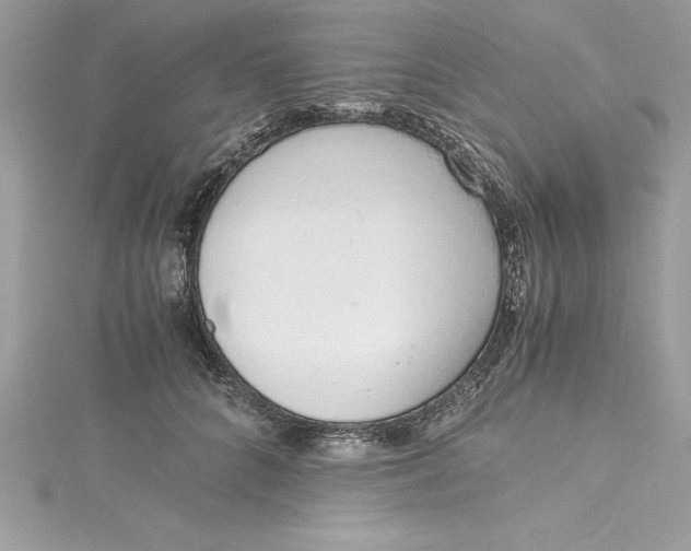 X0000115020704200911161446