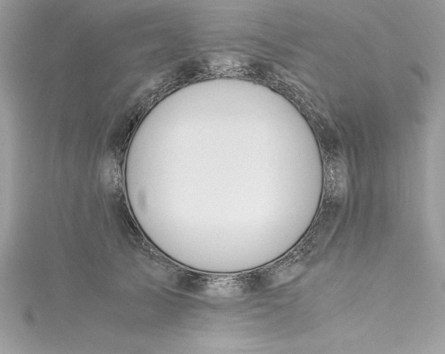 X0000115020705200911161446