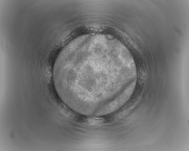 X0000115020707200911161446