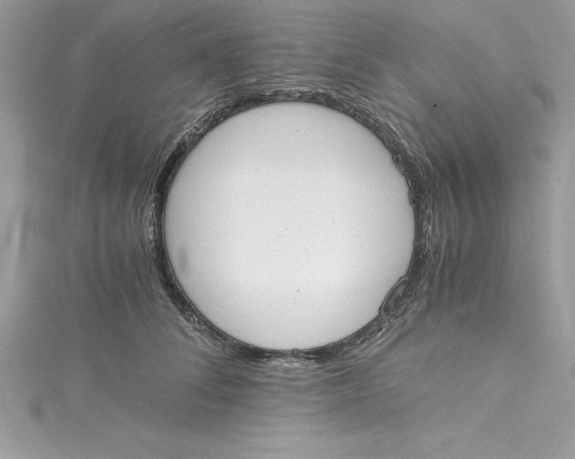 X0000115020708200911161446