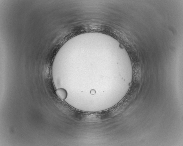 X0000115020709200911161446