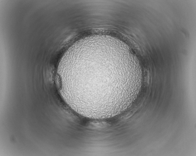 X0000115020712200911161446