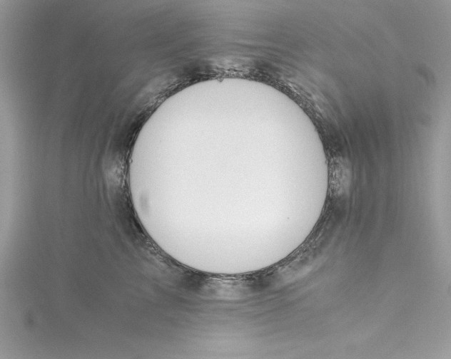 X0000115020713200911161446