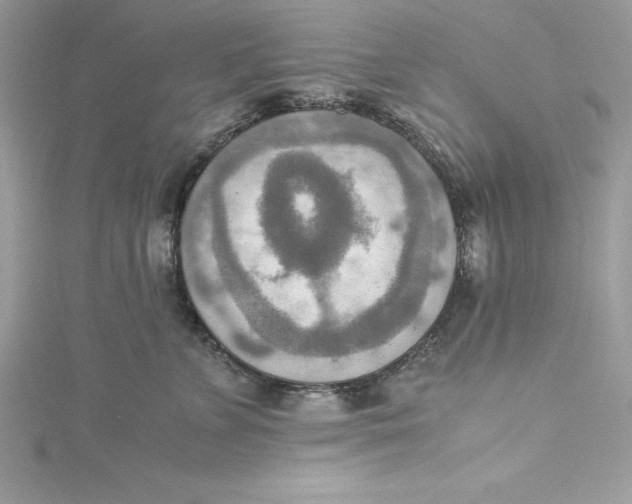 X0000115020715200911161446