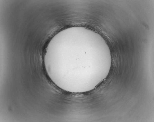 X0000115020716200911161446