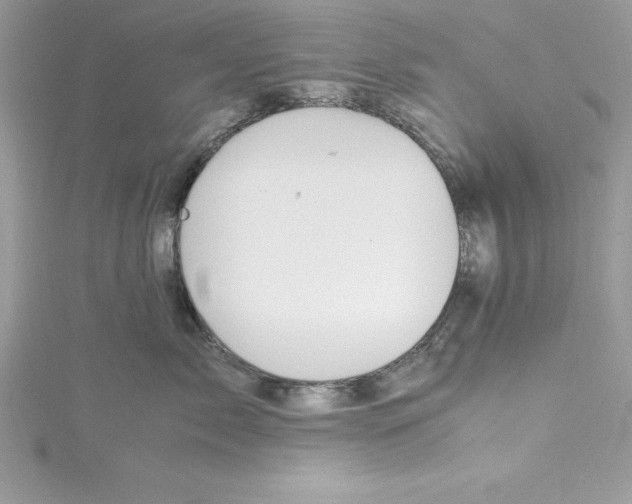 X0000115020717200911161446