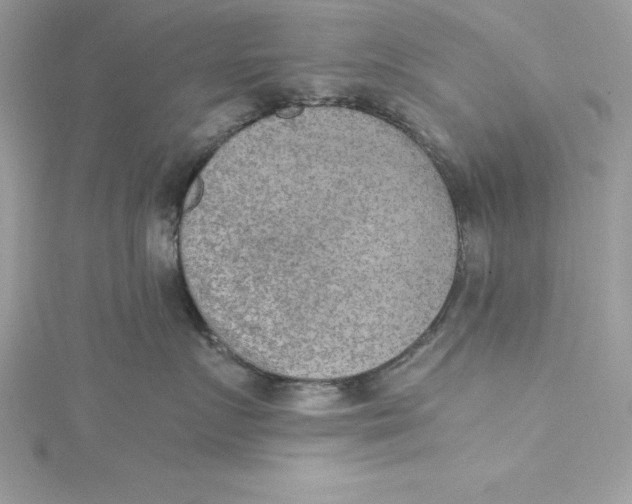 X0000115020719200911161445