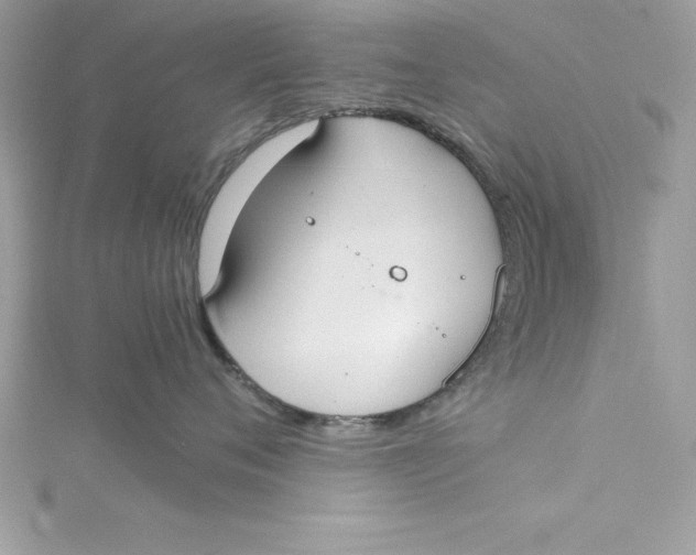 X0000115020720200911161445