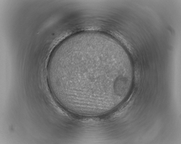 X0000115020721200911161445