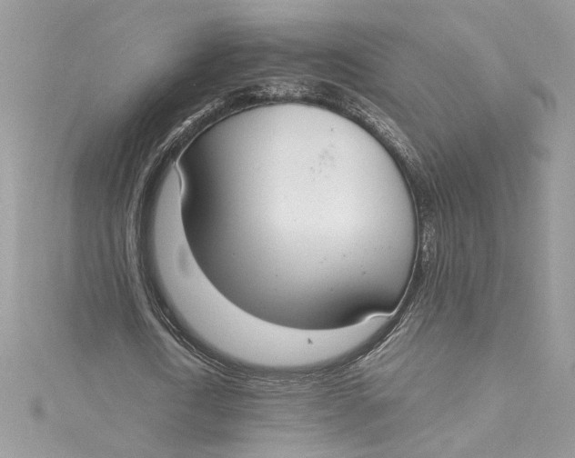 X0000115020722200911161445