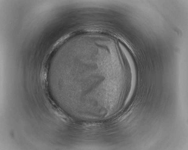 X0000115020723200911161445