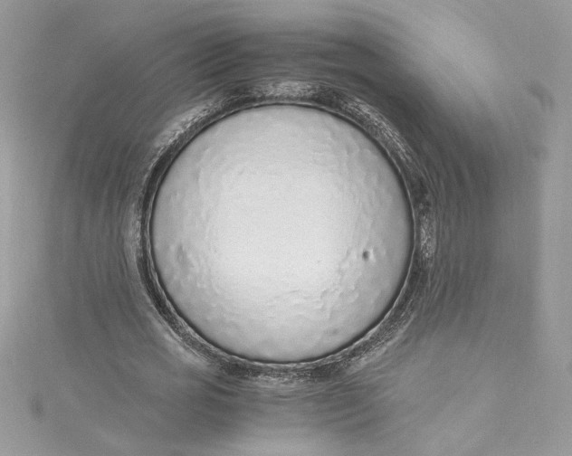 X0000115020725200911161445