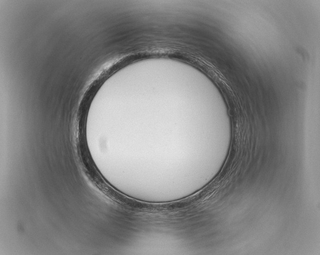 X0000115020726200911161445