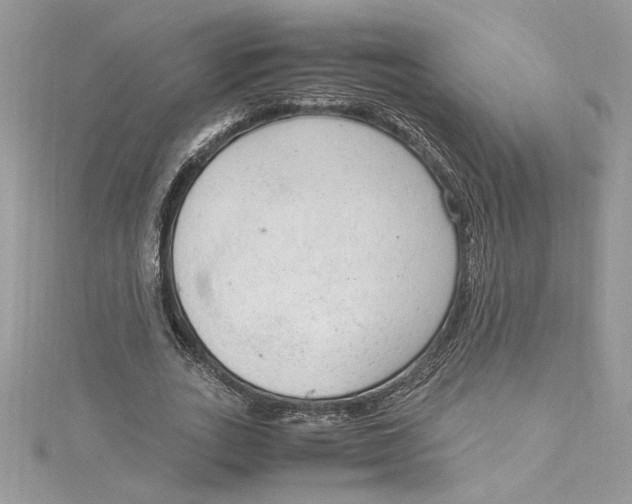 X0000115020727200911161445