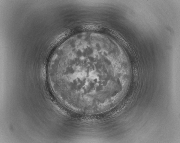 X0000115020729200911161445