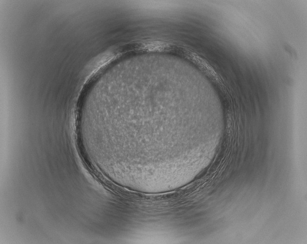 X0000115020730200911161445