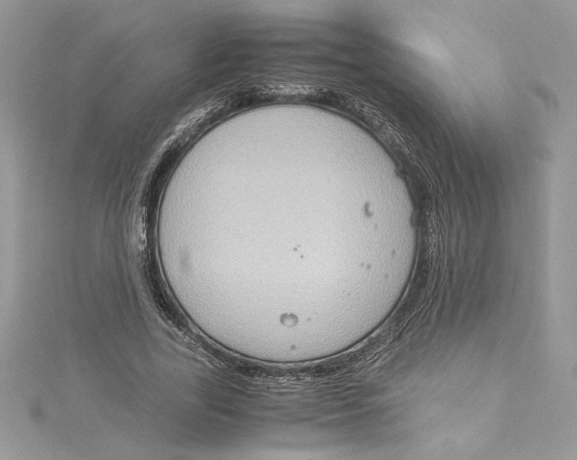 X0000115020731200911161445