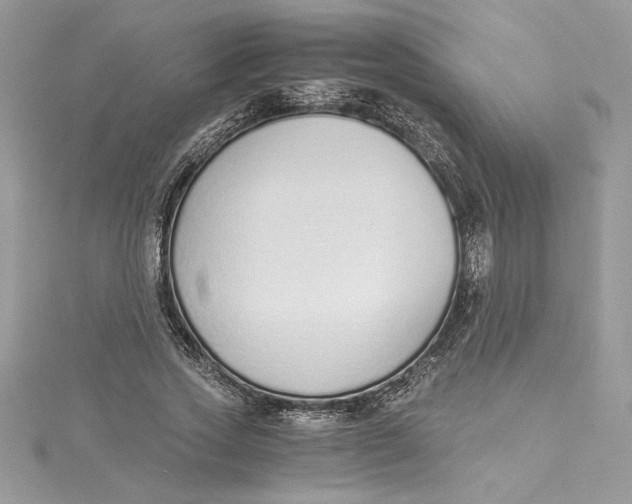 X0000115020733200911161445