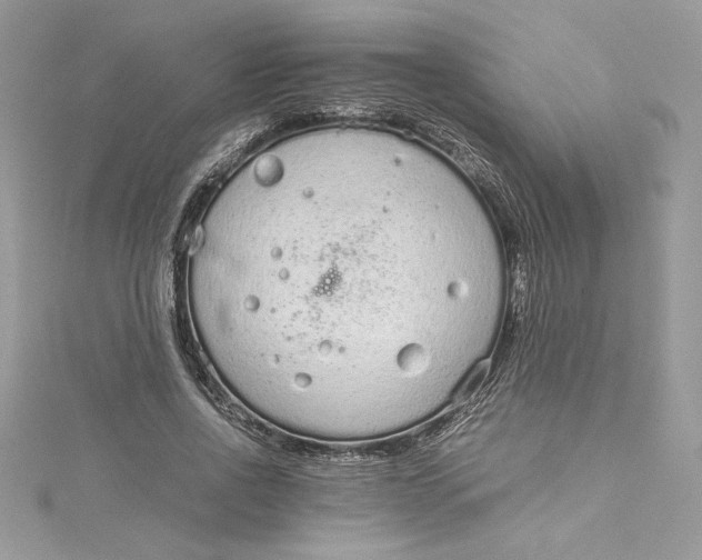 X0000115020734200911161445