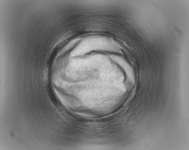 X0000115020735200911161445