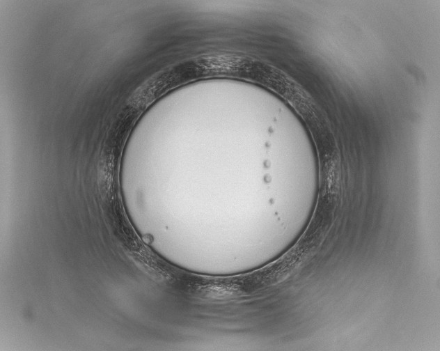 X0000115020737200911161445