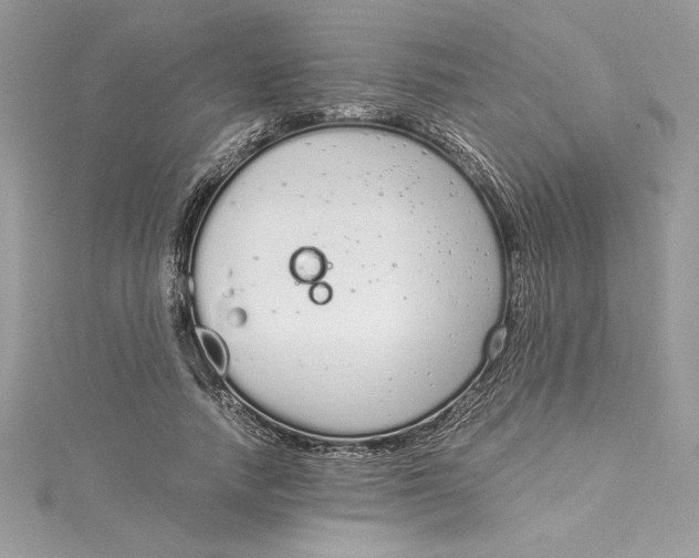 X0000115020738200911161445