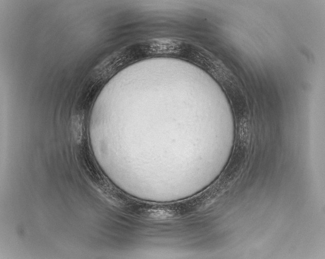 X0000115020741200911161445